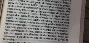texte de Kléber HAEDENS - les cahiers rouges -une histoire de la littérature française