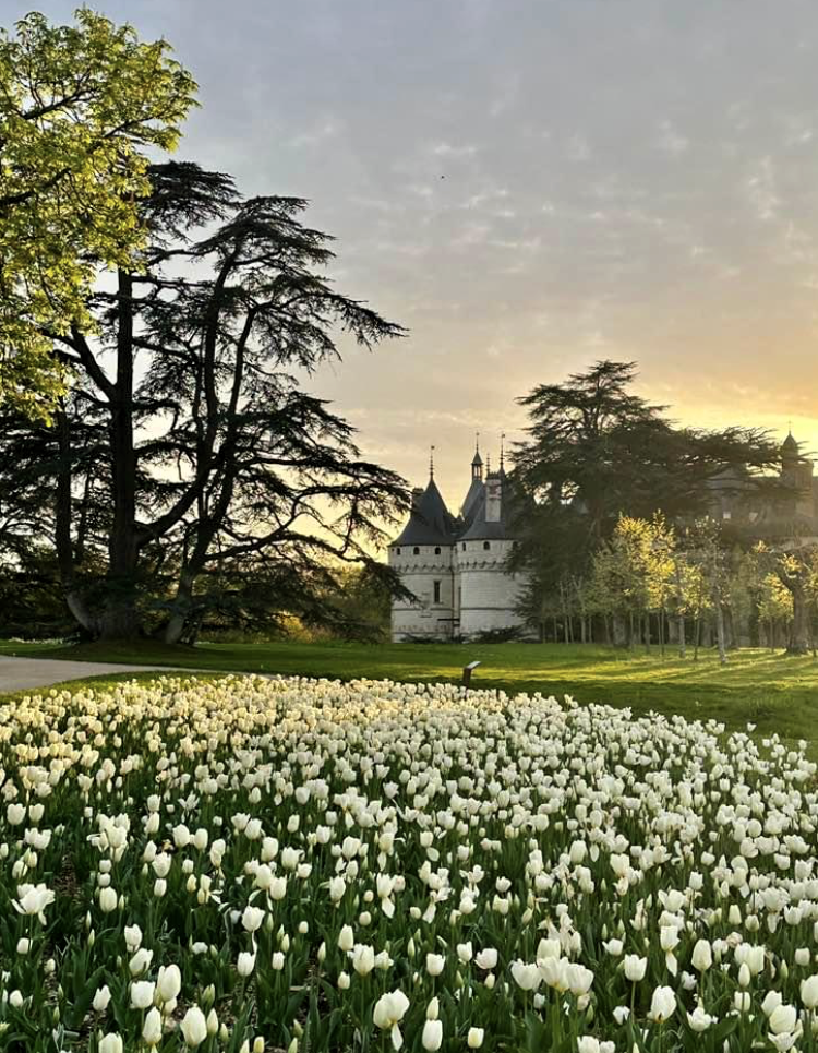 Domaine Chaumont-sur-Loire Jardin source Festival International jardins partir 2024.