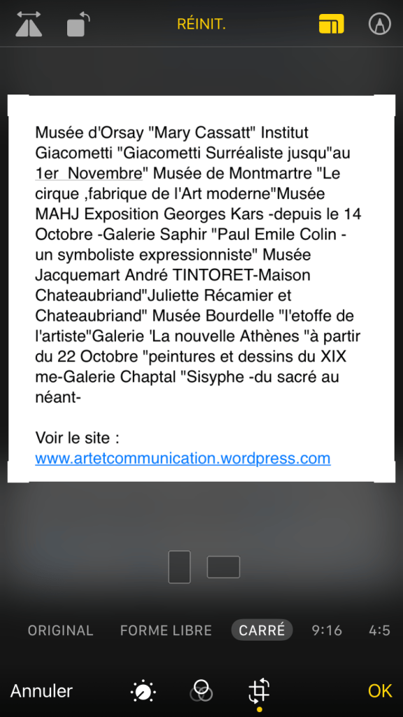 Metz- galerie Cridart- -jusqu’au 31 Octobre 2026